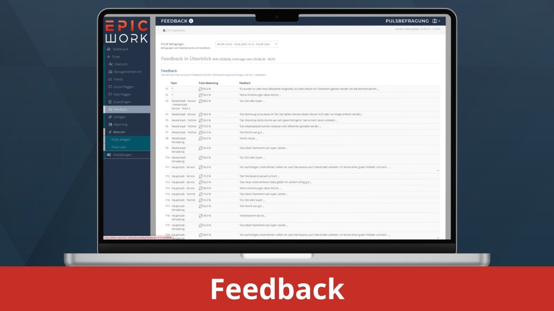 Feedback - EpicWork PULSE Backend Screenshots