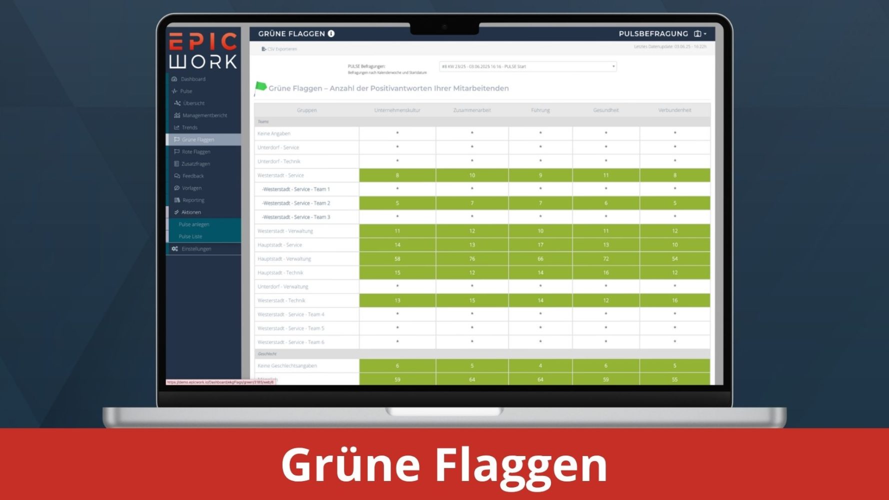 Grüne Flaggen - EpicWork PULSE Backend Screenshots