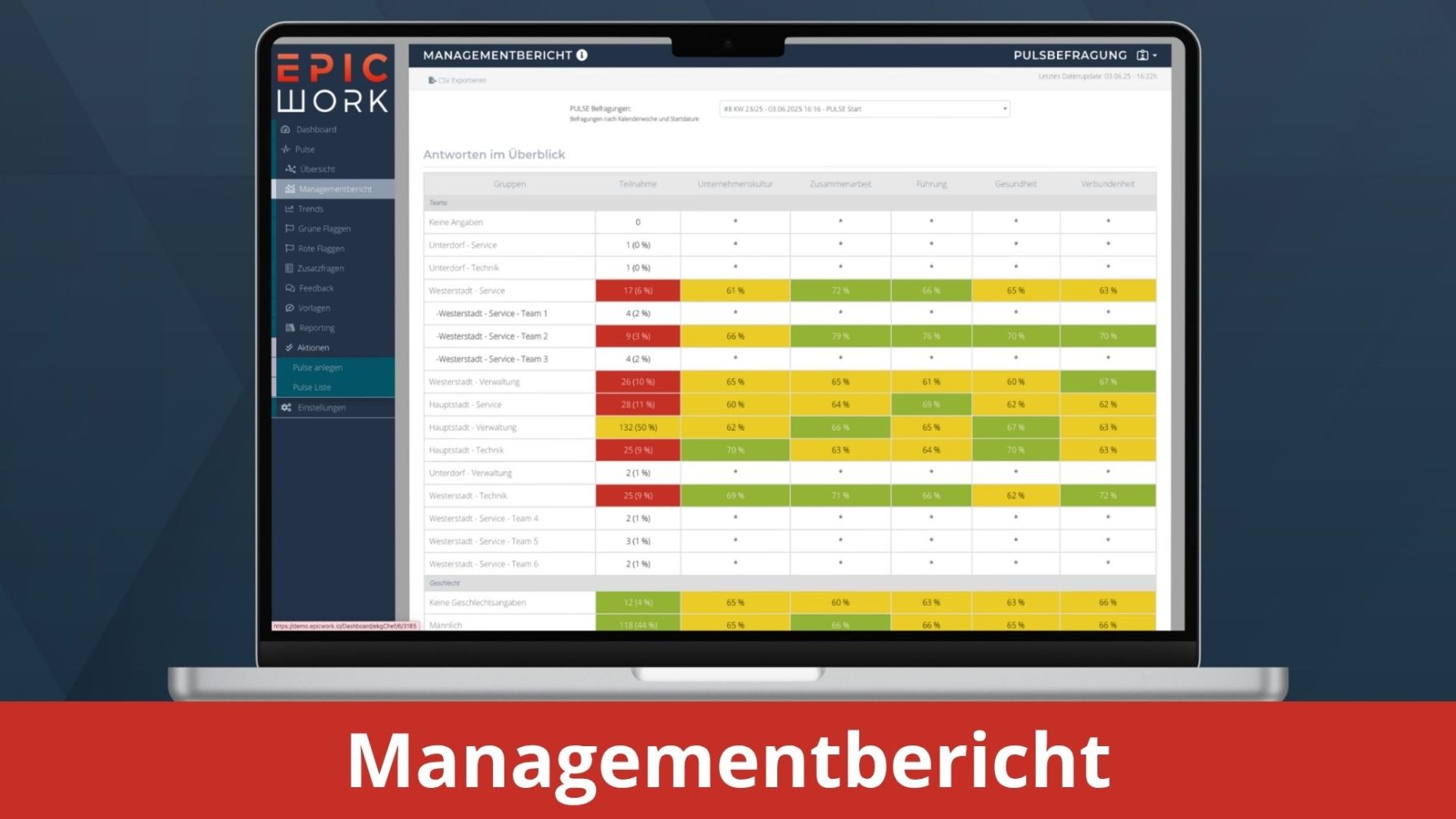 Managementbericht - EpicWork PULSE Backend Screenshots