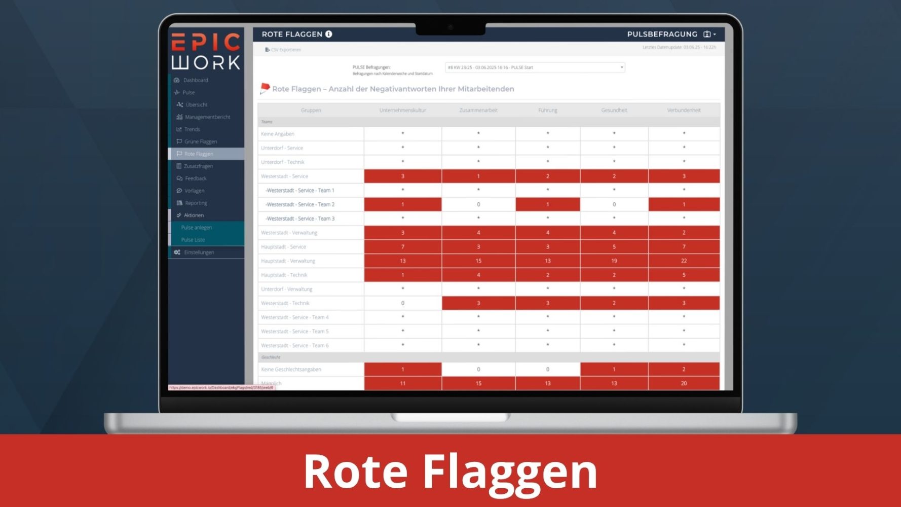 Rote Flaggen - EpicWork PULSE Backend Screenshots