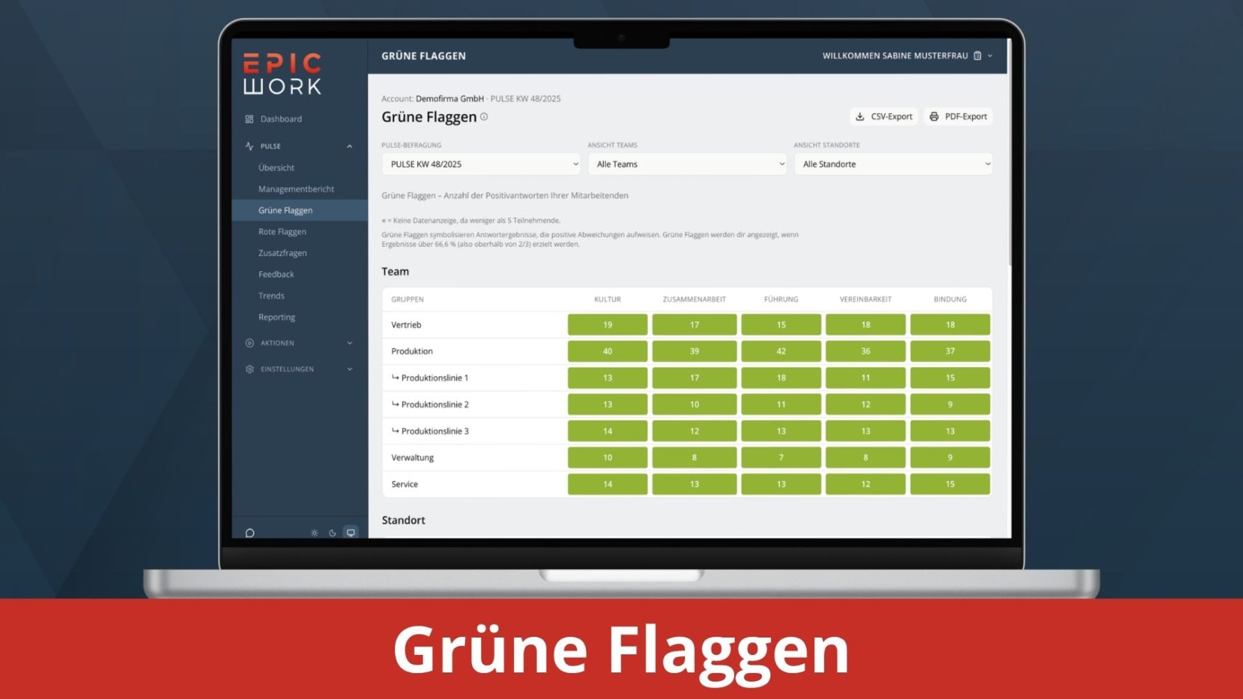 pulse backend grüne flaggen