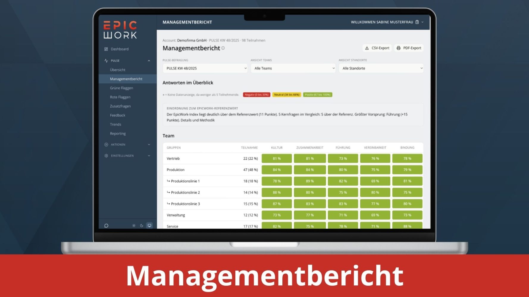 pulse backend managementbericht